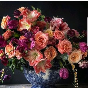 Meet your Posher, Mia